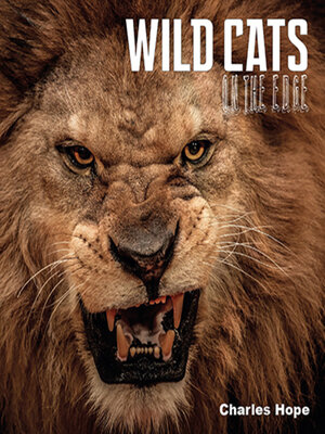 cover image of Wild Cats